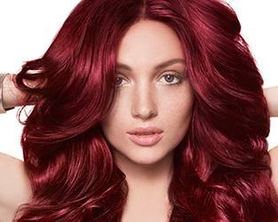 L'OREAL BURGUNDY COLOR | Homeline Services | Get Expert Professional  Services at Home 